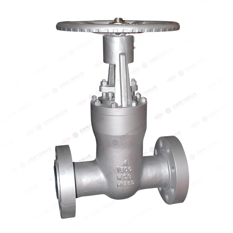 Power station gate valve