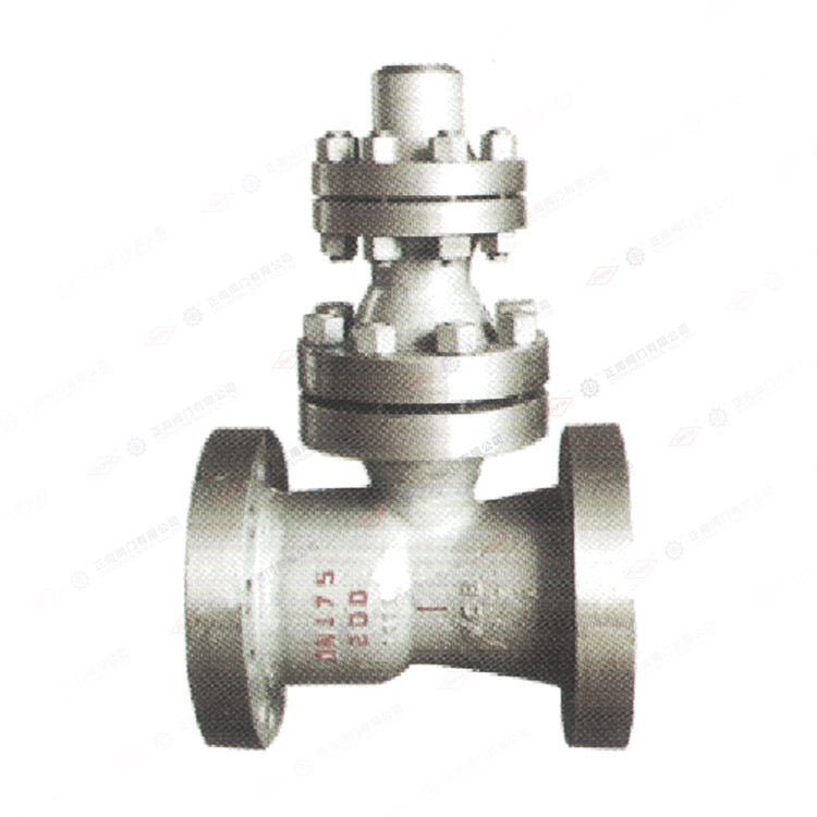 Air discharge check valve