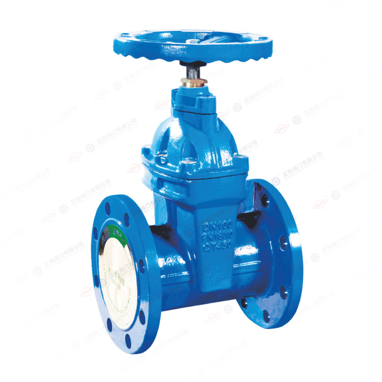 Non rising stem gate valve