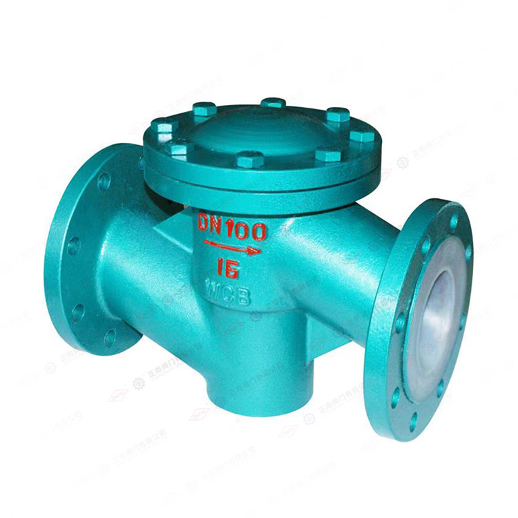 Check valve