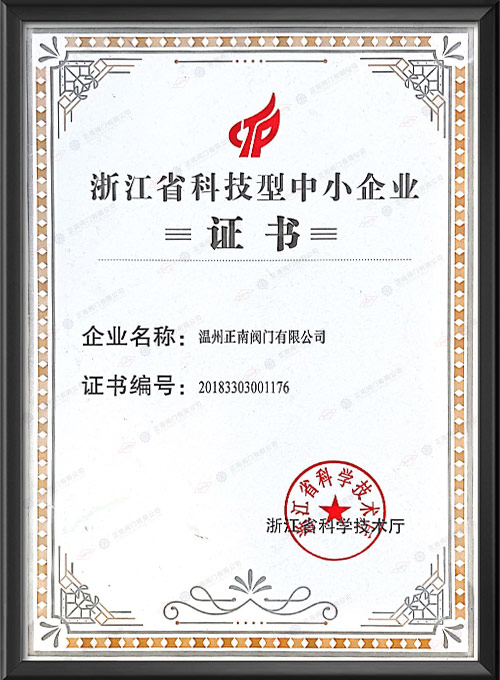 Zhejiang Province Science and Technology oriented Small and Medium sized Enterprise Certificate
