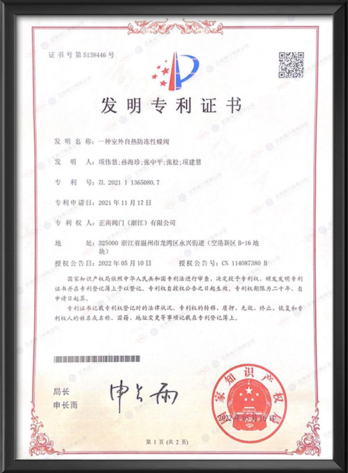 Patent for invention