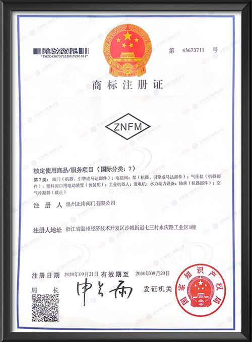 Trademark Registration Certificate