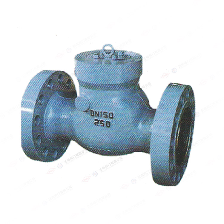 Flange check valve