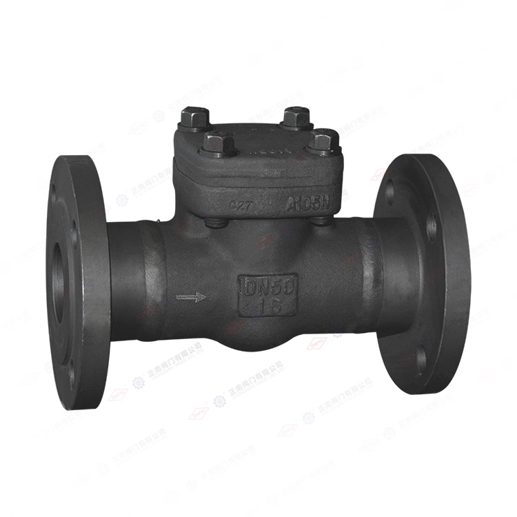 Flange check valve