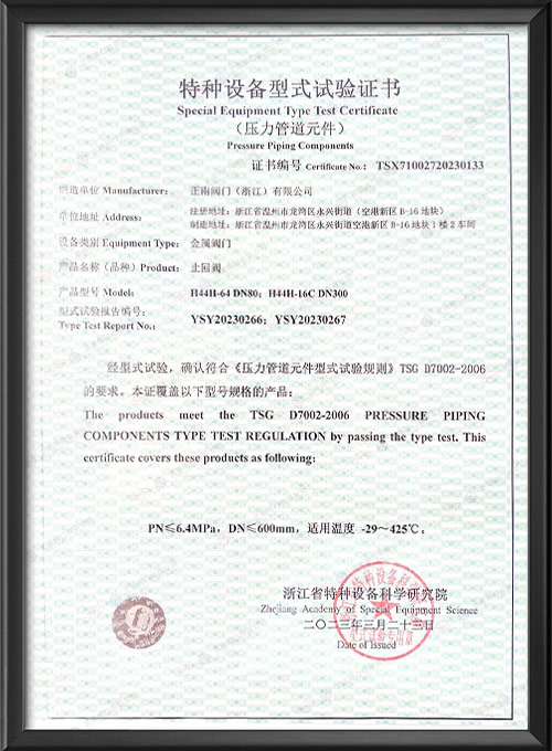 Special Equipment Type Test Certificate - Check Valve