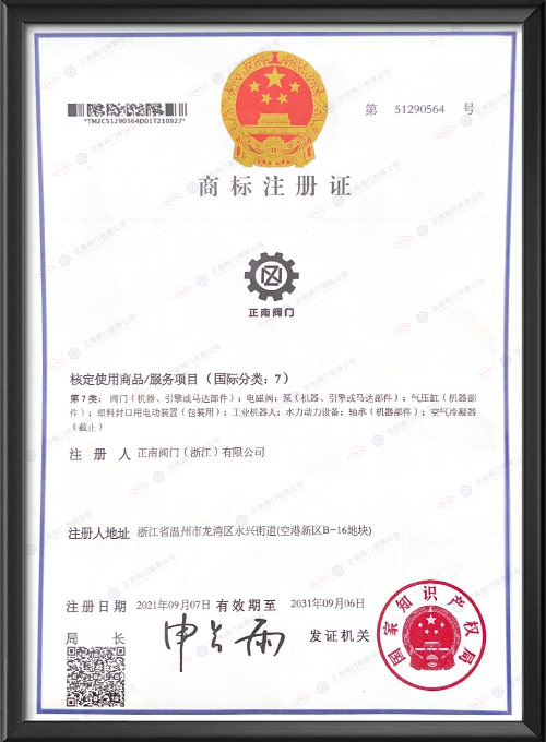 Trademark Registration Certificate