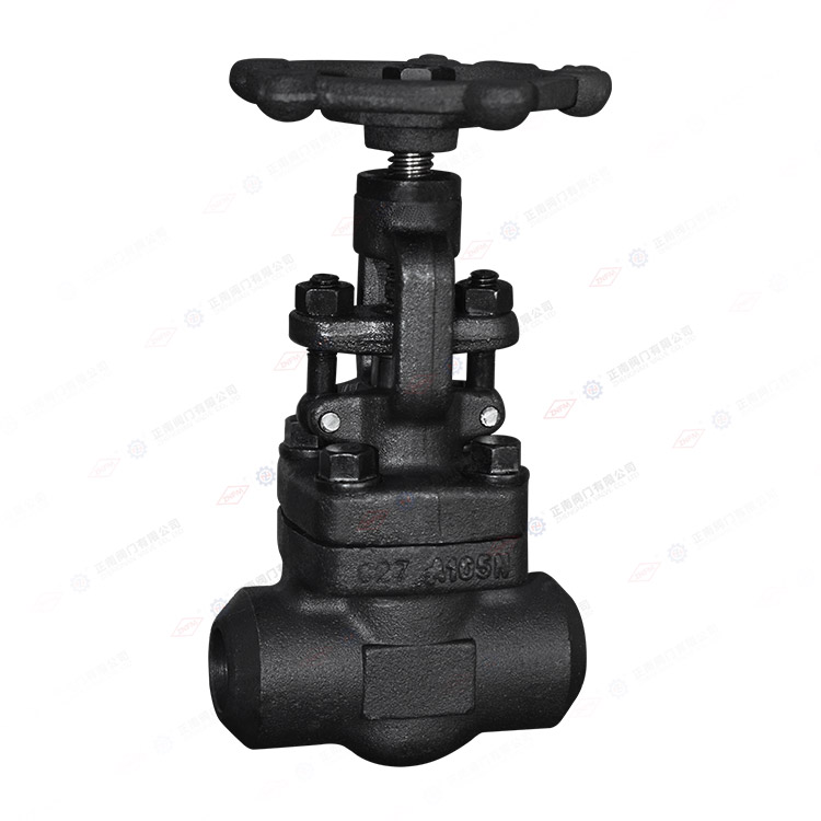 Forged steel butt welded globe valve