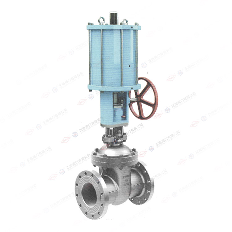 Pneumatic gate valve