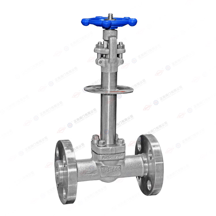 Forged steel low-temperature gate valve