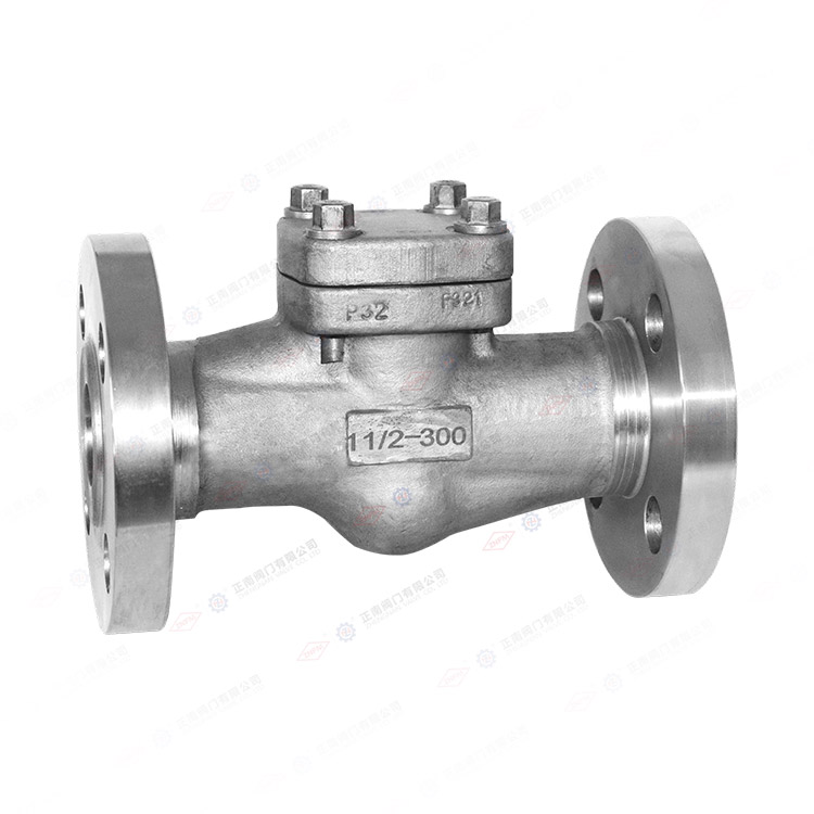 Flange check valve