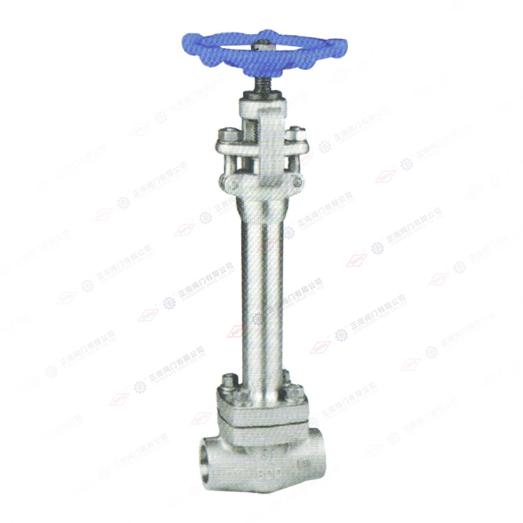 Forged steel low-temperature globe valve