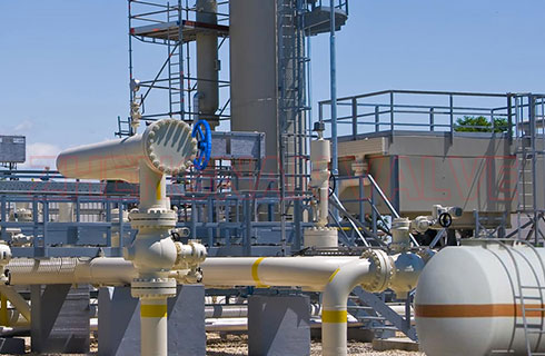 Repair and maintenance methods for check valves