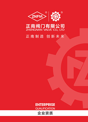 Enterprise Qualification Brochure