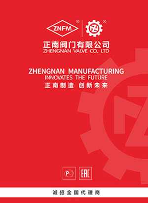 Enterprise Product Selection Manual