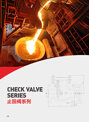 Check valve series