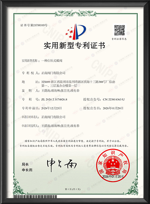 Utility Model Patent Certificate